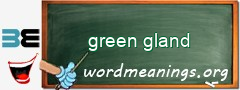 WordMeaning blackboard for green gland